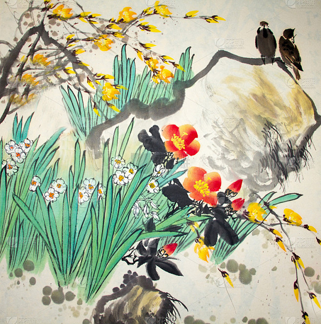 中国传统花鸟画素材-花瓣网