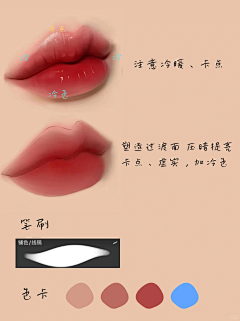 Estrella-采集到五官