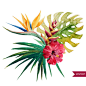 包装植物植物花卉美容化妆品水彩手绘花朵AI矢量设计素材 (7)