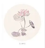 时光 旅行者 ｡◕‿◕｡