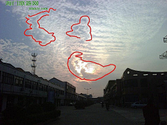 车云杉采集到设计