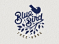 Bluebird 1 alt