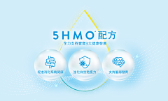 钥匙、unlock采集到PPT|图表|结构图|框架