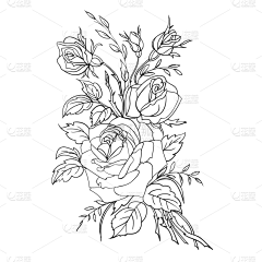 用户DpZXIHja采集到花