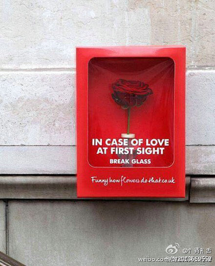 国外街头的玫瑰应急箱：如遇爱情请打碎玻璃...
