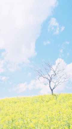 蓝の染采集到唯美场景