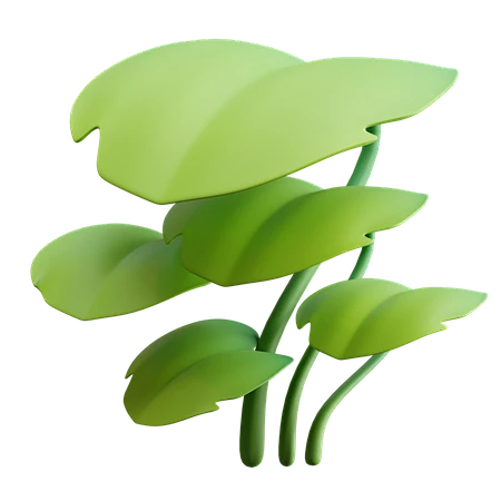 Premium Leaves 3D Illustration download in PNG, OBJ or Blend format ...