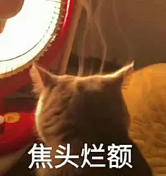 沙雕表情包更新，拿图互动

直视我，崽种
忍住眼泪
让我爱他
弹死你这个猪皮
来了...展开全文c