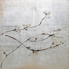 呙采集到c-hua