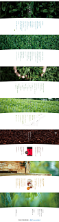 日本瑞芳园农业有机茶叶酷站 - 微设计_WEBUI_创意网站_网页配色_交互设计_网页设计欣赏_网页界面_网页设计