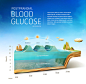 Info Chart - Visual Concept : This is a visual concept I did to demonstrate the chart of "Postprandial Blood Glucose". The idea was to create something much more appealing than normal medical info charts which are usually boring and too complex 