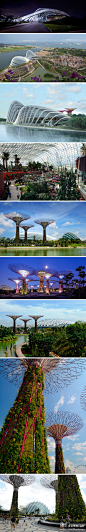 世界建筑节最近宣布新加坡的“gardens by the bay”被评选为2012年世界年度建筑！项目由伦敦建筑事务所wilkinson eyre设计，作为地标性建筑在2003年的设计竞赛胜出，2012年6月正式向公众开放。规模达101公顷的开发项目围绕三个滨水花园展开，包含两座巨大的温室花园，它平衡了自然与建筑景观之间的关系