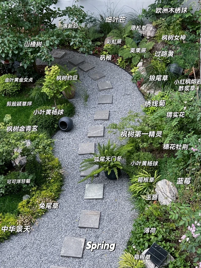 懒人低维护花园实测耐寒又耐热的花草合集-花瓣网