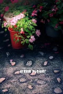 非主流唯美伤感爱情壁纸下载320x480