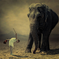 Surreal Photo Manipulations by Caras Ionut | Colossal