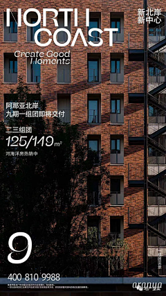 zhenyl采集到活动