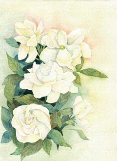 keiito采集到插画