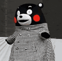 最新熊本熊呆萌表情包