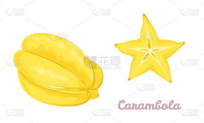 矢量,杨桃,完整,绘画插图,卡通,扁平化设计,分离着色,白色背景,热带水果,一半的