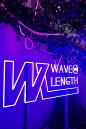 WAVELENGTH:上演一场沉浸式花花世界