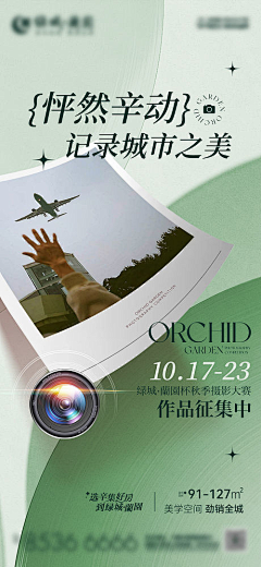 瓦希罗娜采集到噱头