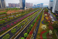 WonderfulTimes采集到隔离带
