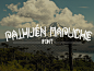 Paihuen Mapuche Free Font by Benjamín Rivera in 15 New and Free Fonts and Typefaces