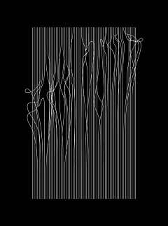 Foooooooo采集到GRAPHIC