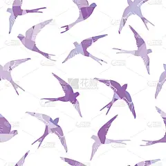 展翅飞翔的燕子鸟无缝模式