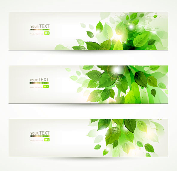 绿叶卡片banner01-矢量素材