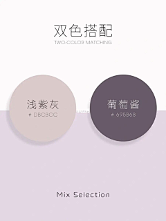 一颗小白桃采集到色卡