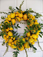 lemon wreath@北坤人素材