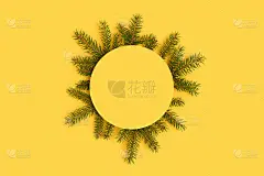 圆纸卡模型与云杉树枝制成的框架。