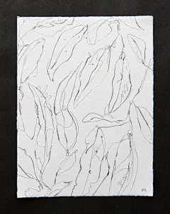 【植物插画系列图集下载】创意叶子草本花卉绘本绘画