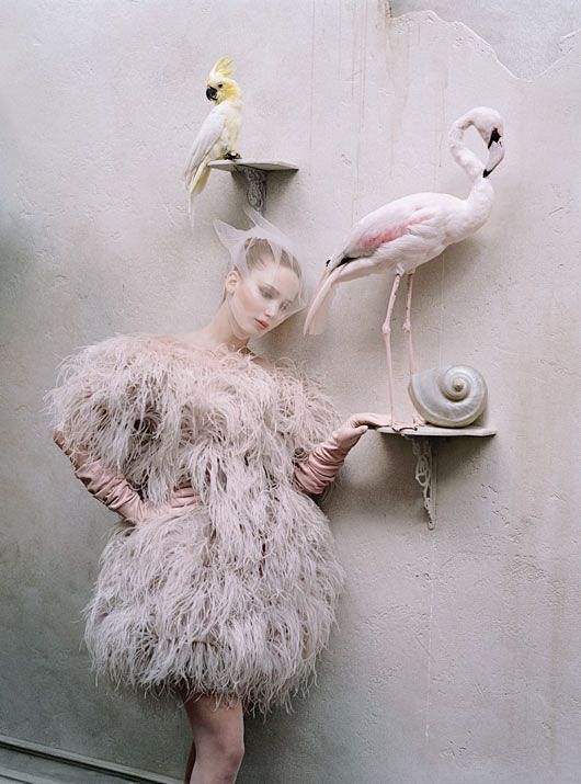 Tim Walker