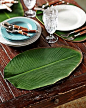 Tommy Bahama - Palm Leaf Placemats. Entertaining Tropical Style.: 