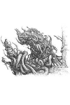 whonly采集到生物