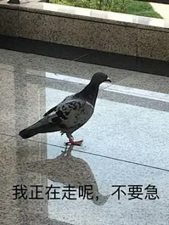 分享一下咕咕咕表情包，如果你们还有我还会… | 半次元-二次元爱好者社区