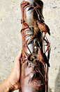 (20) Pinterest