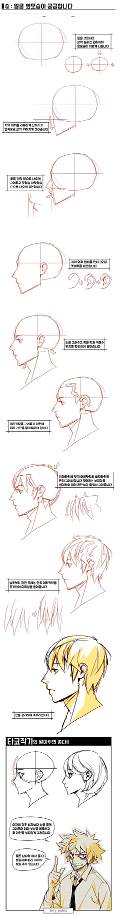 不高兴小宅采集到人体结构