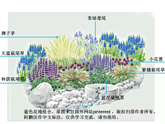 New-Landscape采集到花镜设计