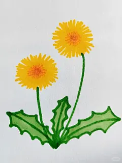 蒲公英花简笔画 - 小红书搜索
