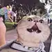 爱笑的猫🐱