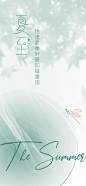 夏至海报
