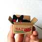 箱入り猫。

A Cat in a Cardboard Box.