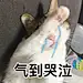 58c7d37e5ff4b568.jpeg!600x600