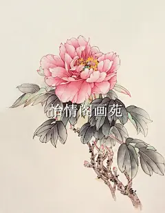 工笔画白描底稿——牡丹图白描山水画人物画花鸟画底稿作业075