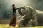 Elephant with Asian girl by Sasin Tipchai on 500px