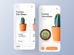 河桉瀚采集到【UI】界面/icon