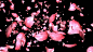 F2009粉红玫瑰花瓣撒落婚礼入场婚庆现场led大屏幕背景视频素材-淘宝网